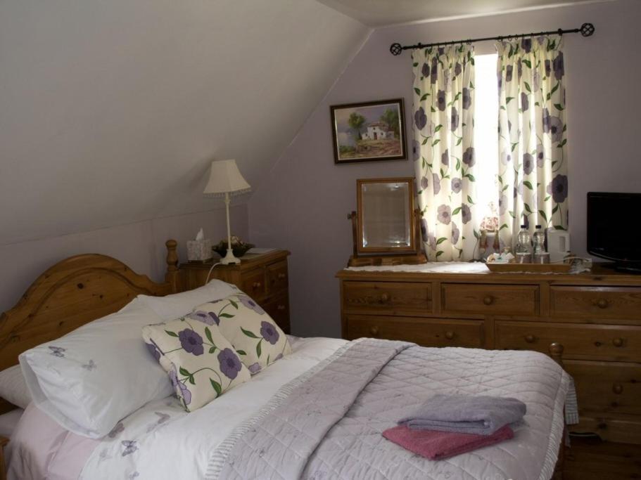 Woodview B Colchester Birch Quarto foto
